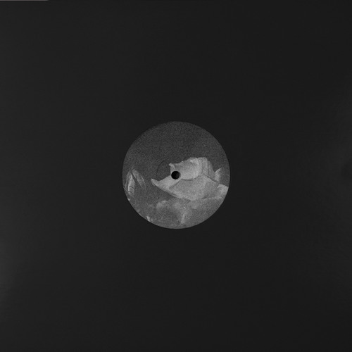Black Merlin - Resistance