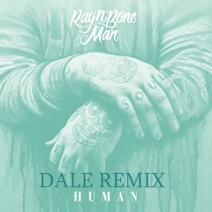 Rag'n'Bone Man - HUMAN (DALE Remix)