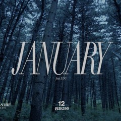 빈지노 (Beenzino) - January (Feat. YDG) MV