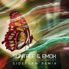 Emok & Suntree - Catching the Moment(Sideform Remix)- Out Now!