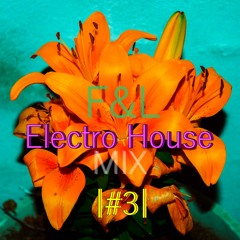 MIX ESPECIAL PARTY-Electro House|#3| F&L