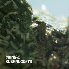 Kushnuggets Beattape Snippet