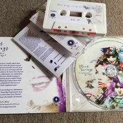 Lady Paradox & Gadget - Dear Future Self | Mood Swings LP out now on 12", CD, Cassette