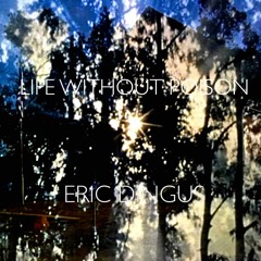 Eric Dingus - Exclusive Mix - life without poison
