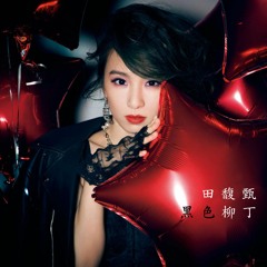 田馥甄 Hebe Tien - 黑色柳丁 Black Tangerine (Studio High Quality Version)
