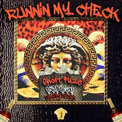 running my check 1.0-1.mp3