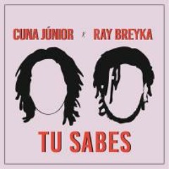 Tu Sabes (ft. Ray Breyka)