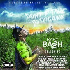 EL PINCHE Feat. Chingo Bling, Low-G & Juan Gotti