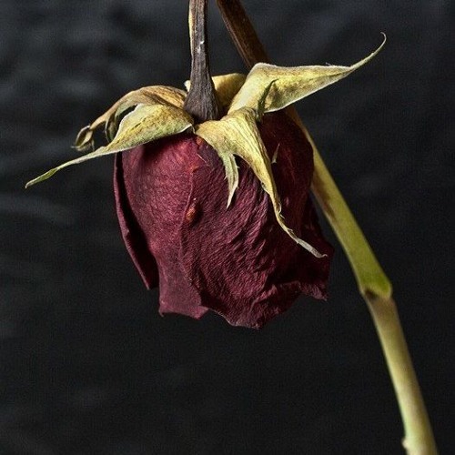 Mike Price - Been Through This