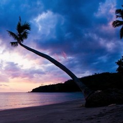 Sunset Paradise (Original mix) NOVEMBER OUT FREEDOWNLOAD