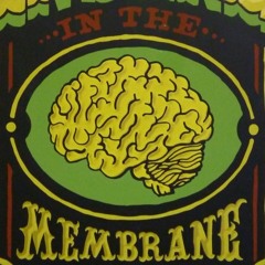 Prince Fatty - Insane IN ThA BrAiN DARKPLACE ( IPMan & Killawat )