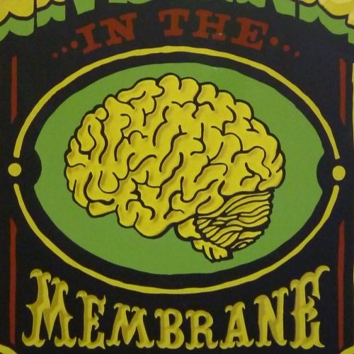 Prince Fatty - Insane IN ThA BrAiN DARKPLACE ( IPMan & Killawat )