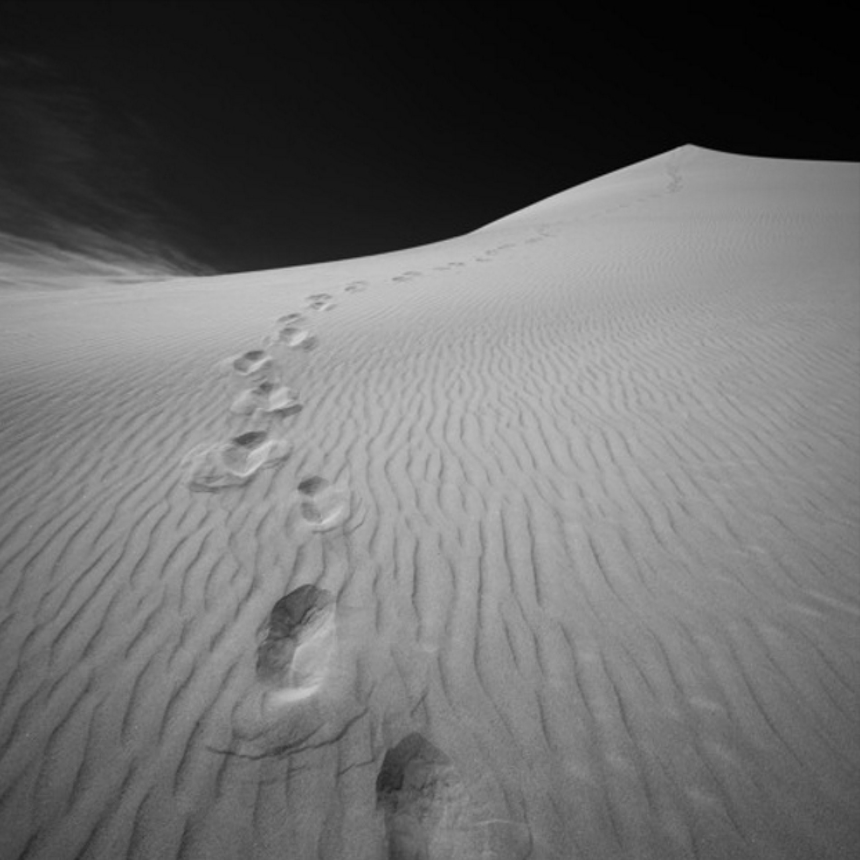 David Boura