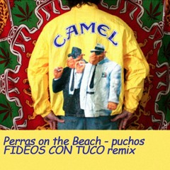 Perras on the Beach - Puchos (Fideos con Tuco remix)