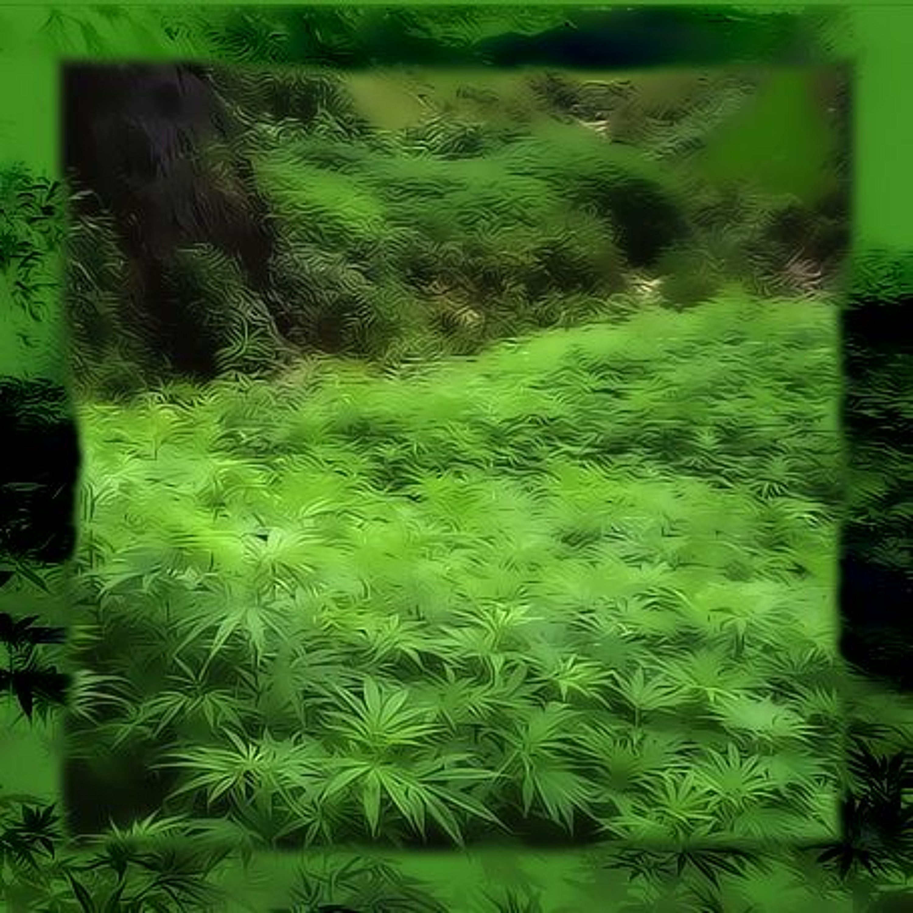 INTELLIGENT MUSIC SETS - EXPERIMENTAL LIVE & SOUNDSCULPTOR TRACKS