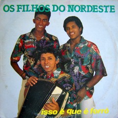 Os Filhos do Nordeste - No Forró Da Gente
