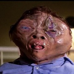 Veterinarian's Day Poppy