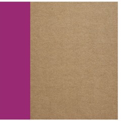 T.E.E.D - Garden (Jesse Rose Remix Radio Edit)