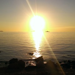 Toprak