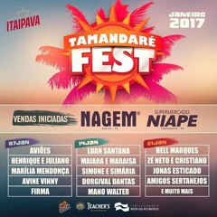 CHAMADÃO TAMANDARÉ FEST 2017