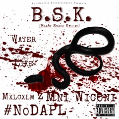 B.S.K. (Black Snake Killas)