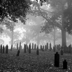 Cemetery Freestyle
