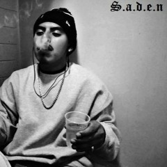 Saden-This The Way It Is (Mastered By Jay - Lew TheTruth)