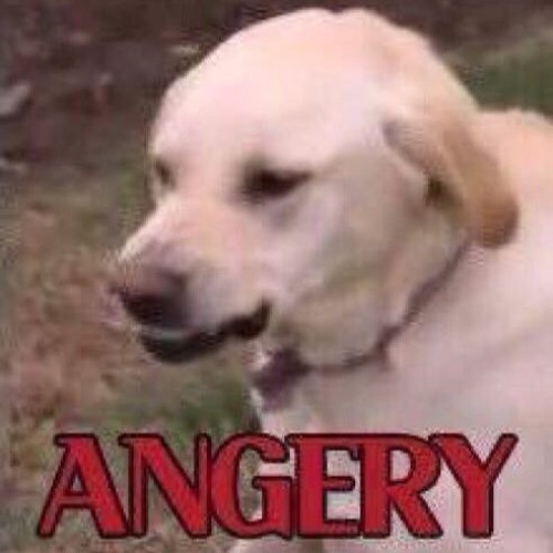 angery gambino
