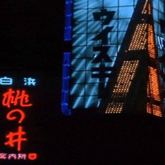 Sick Of Following Idols/Z L R U G G U R L Z