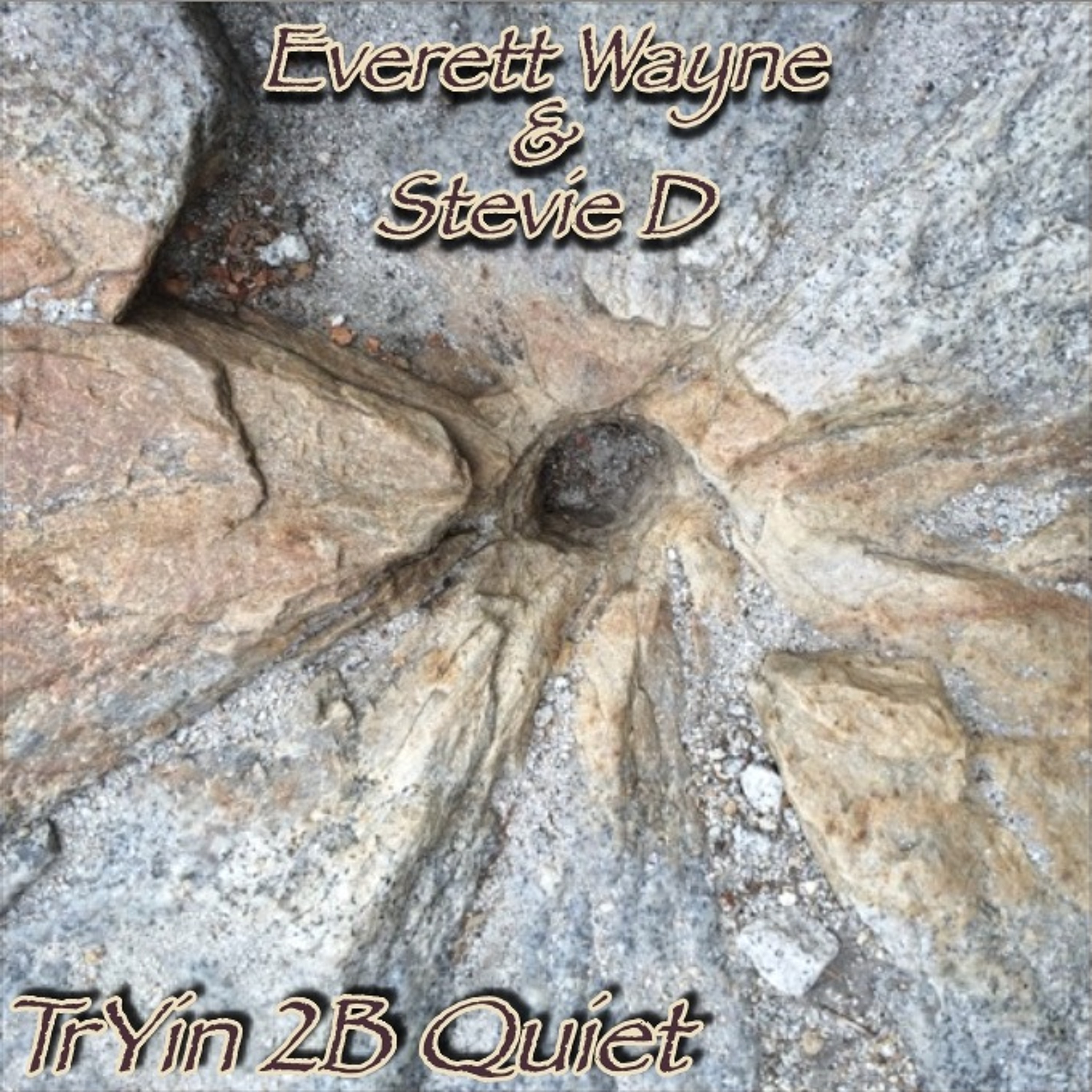 Everett Wayne