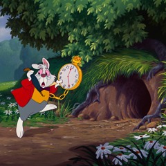 WONDERLAND