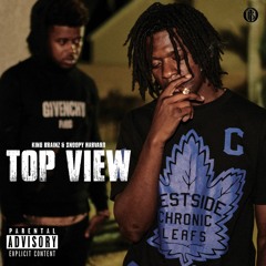 Top View -King Brainz & Snoopy Harvard