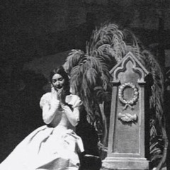 Vi Ravviso o luoghi ameni - La Sonnambula (Bellini) - 2015