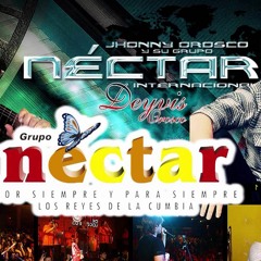 Botellita De Ron Nectar - 128K MP3