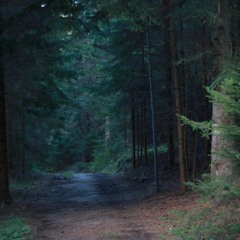 Within, Without (November 2016)