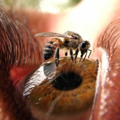 Vicetone - What I Ve Waited For  Feat. D. Brown