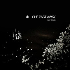 post punk cold wave dark wave italo disco acid electro