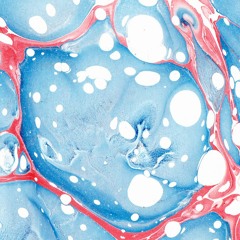 cvpellv - L'École De La Chair