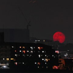 jungle bless - chill