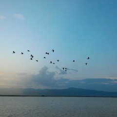 အသဲကွဲမြို့တော် - ဂျေမောင်မောင်