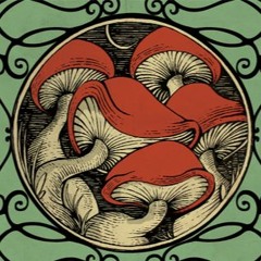 Tombo - Perla (studio sessions)