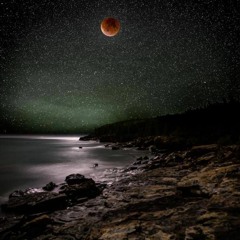 Bedian - Deep Forms (Original Mix)