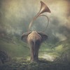 Coccolino Deep - Dancing with Elephant DJ mix artwork - Electronic music tracklist cover image