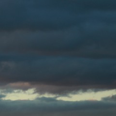 Before Language (April 2016)