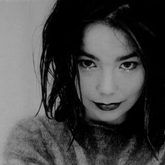 Bjork - Pagan poetry (Crtcl Swtch bootleg)