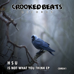 Hsu - Is This Not Me (Original Mix) [Crooked Beats Records]