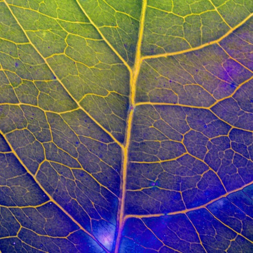 Washed Out - Feel It All Around (Edit)