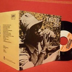 David Zé - kadika Zeca