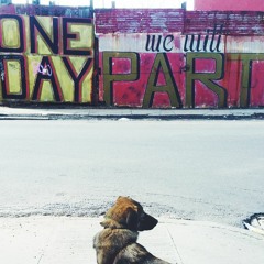 Uncivilized - Stupid Gurus ft. Jib Kidder