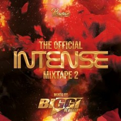 INTENSE 2 - The Official Mix Tape - Selected And Mixed By BIGGI